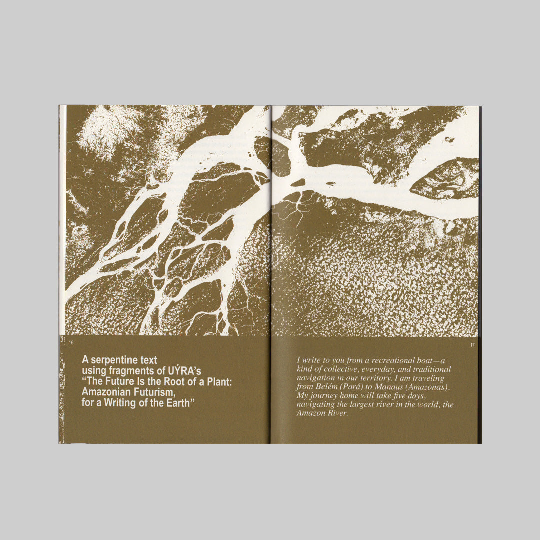 Wametisé: Ideas for an Amazofuturism