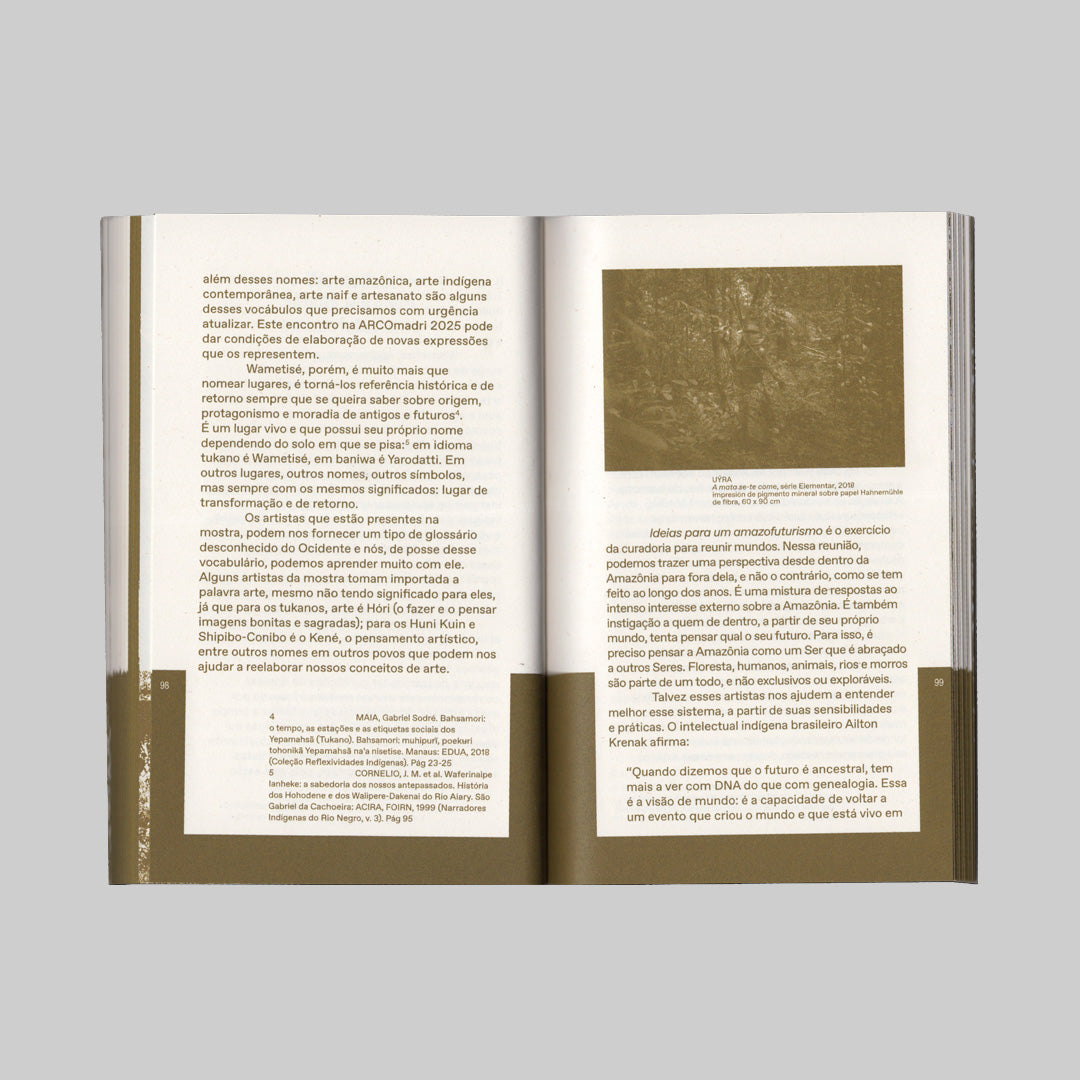 Wametisé: Ideas for an Amazofuturism