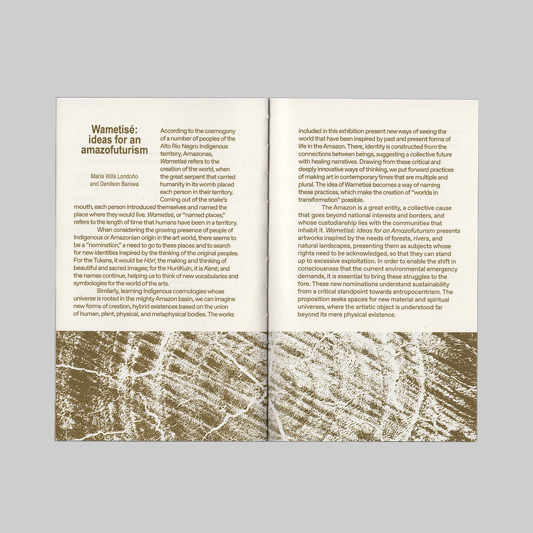 Wametisé: Ideas for an Amazofuturism