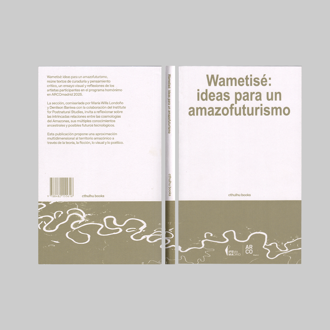 Wametisé: Ideas for an Amazofuturism